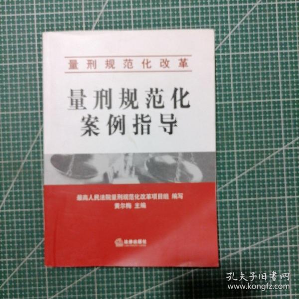 量刑规范化改革：量刑规范化案例指导