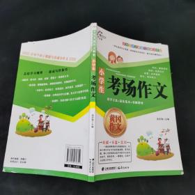 小学生考场作文