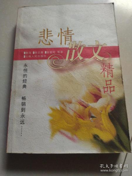 悲情散文精品