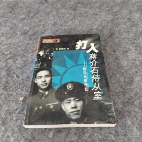 打入蒋介石侍从室——段氏兄弟传奇（无名英雄系列丛书）
