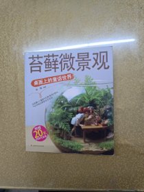 苔藓微景观：桌面上的童话世界