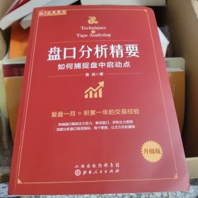 盘口分析精要：如何捕捉盘中启动点（舵手证券图书，职业投资人操盘手鲁斌，私募策略分析师）