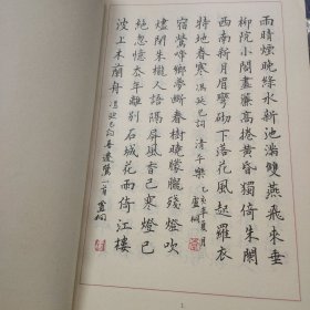 硬笔书法大师最新精品系列 卢桐硬笔书法卷、董文硬笔书法卷、2本