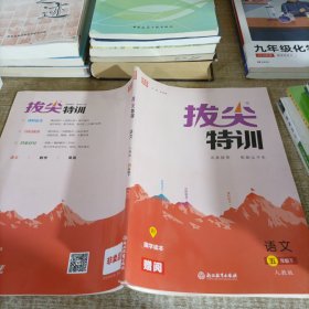 拔尖特训语文人教版五年级下