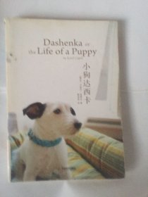 小狗达西卡
