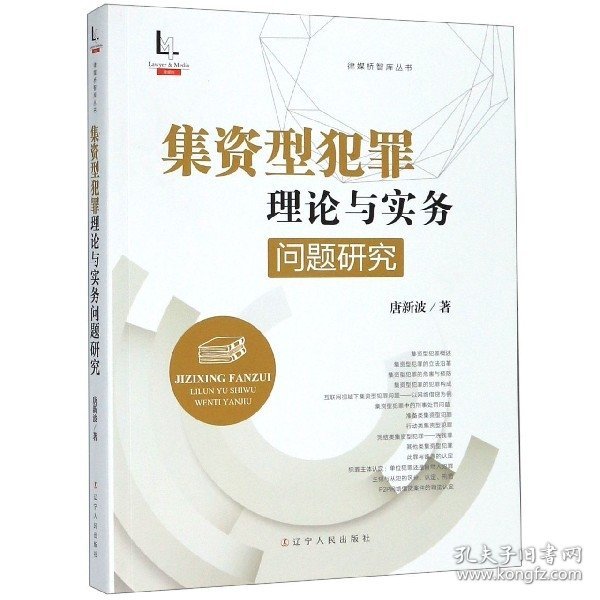 集资型犯罪理论与实务问题研究/律媒桥智库丛书