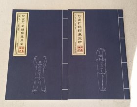 沙家门纯阳养生功 沙家门五指梅养生功 （二册）