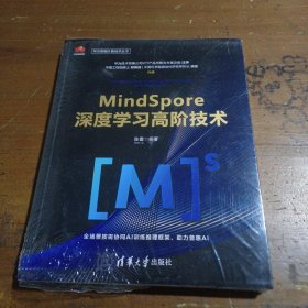 MindSpore深度学习高阶技术