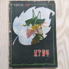 1982-3辽宁青年