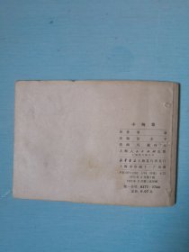 小向导