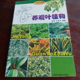 家养观叶植物——家庭花艺丛书