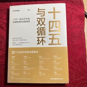 十四五与双循环:17位一线经济学家深度解读新发展格局（国内大循环国内国际双循环）