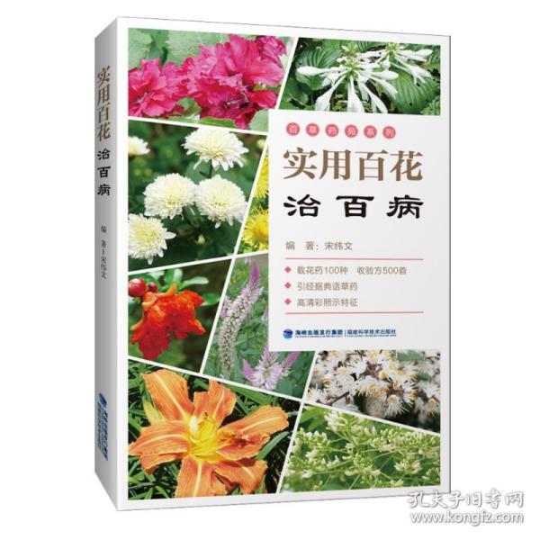 实用百花治百病/百草药苑系列