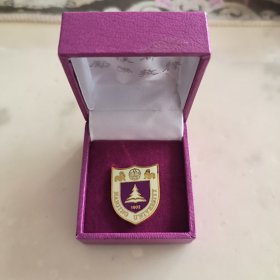 南京大学校徽徽章