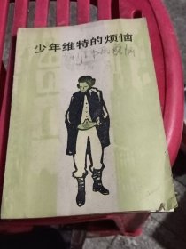 少年维特的烦恼