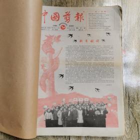 中国剪报（2001全年报纸）
