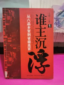 谁主沉浮1：从八品乡官到省级高官