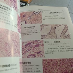 组织学与病理学图谱