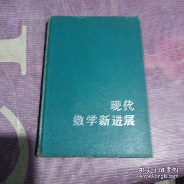 现代数学新进展,刘徽数学讨论班报告集