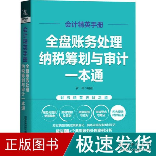 会计精英手册：全盘账务处理、纳税筹划与审计一本通