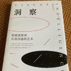 洞察：精确观察和有效沟通的艺术