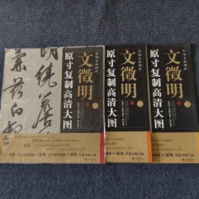 条幅名品精选·原寸复制高清大图：文徵明一、二、三。全3张