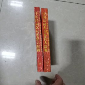 中国诗词名句鉴赏大辞典上下册