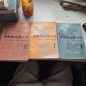 历史在这里沉思——1966-1976年记实 1-3三册