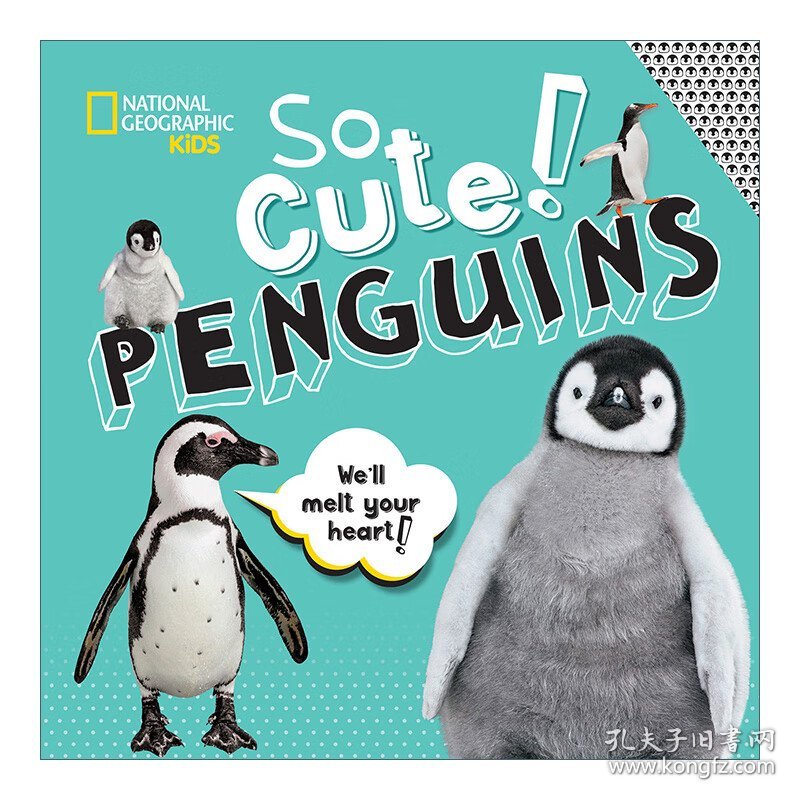 So Cute! Penguins (Cool/Cute) 太可爱了 企鹅 美国国家地理系列 儿童启蒙认知科普绘本 精装 Crispin Boyer