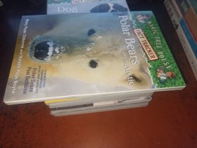 POLAR BEARS AND THE ARCTIC（Magic Tree House，魔法树屋系列，大32开英文原版）