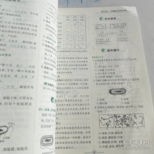 学法大视野·生物八年级上册2018版