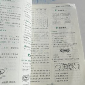 学法大视野·生物八年级上册2018版