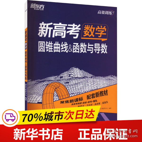 新东方 (2024)新高考数学 圆锥曲线&函数与导数 高考理科刷题冲刺精讲