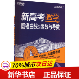 新东方 (2024)新高考数学 圆锥曲线&函数与导数 高考理科刷题冲刺精讲