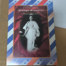 Zh03荷兰邮票1998年威廉明娜女王加冕百年 盖销邮折，内含10枚邮票，如图，外号角部小损，邮票金粉有氧化。