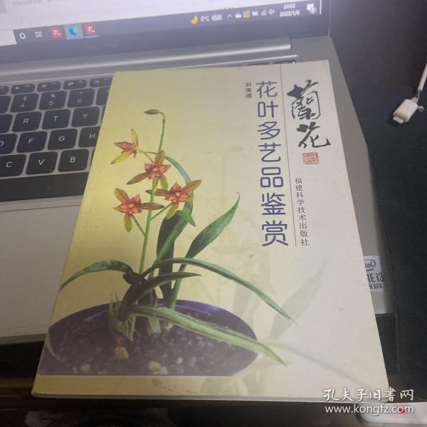 兰花花叶多艺品鉴赏