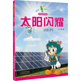 太阳闪耀【正版新书】