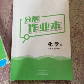 分层作业本化学九年级全一册