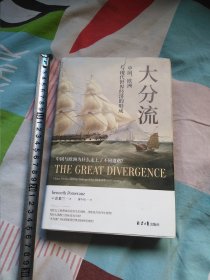 大分流～中国欧洲与现代世界经济的形成