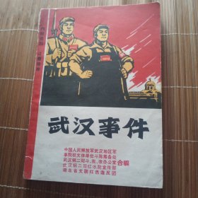 武汉事件（七二0事件实录）