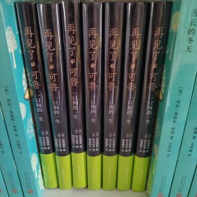 再见了，可鲁（2018版）