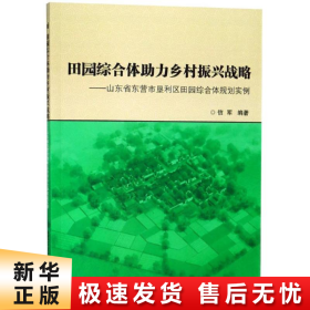 田园综合体助力乡村振兴战略:山东省东营市垦利区田园综合体规划实例 