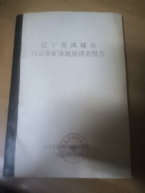 辽宁省凤城市白云金矿床地质详查报告