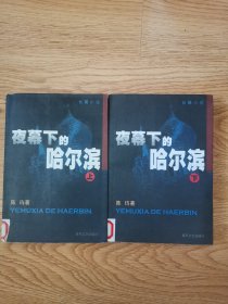 中国当代长篇小说：夜幕下的哈尔滨，上，下（二册）