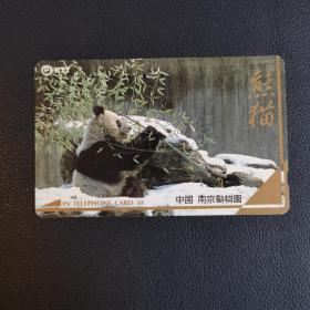 日本旧电话卡 中国题材 南京动物园大熊猫