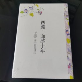 西藏，面冰十年