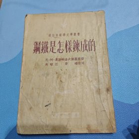 钢铁是怎样炼成的