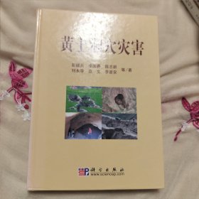 黄土洞穴灾害