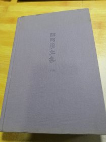 胡河清文集 下卷 （包邮）