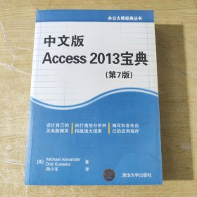 办公大师经典丛书：中文版Access 2013宝典（第7版）